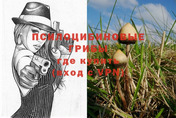 дмт Бугульма